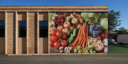 Exterior of auto parts store with 3M colored film wall wrap used for the store name and logo
