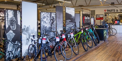 Signs and Displays
