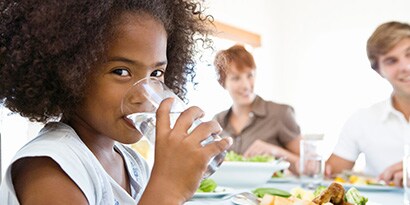 Water Filtration Systems
