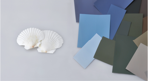 Colored  architectural films next to scallop shells

