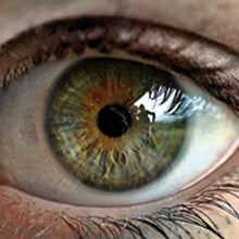 3M Prevent Eye Injury
