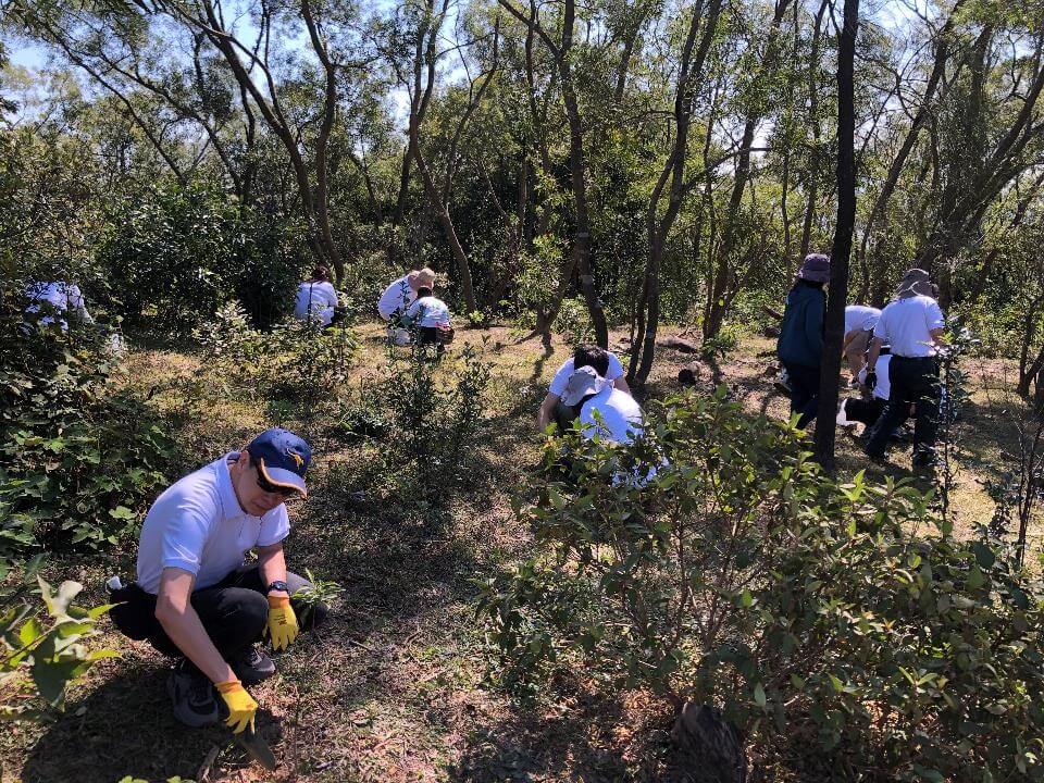 Image of the ABAA-Evaluated seal from the Air Barrier Association of America