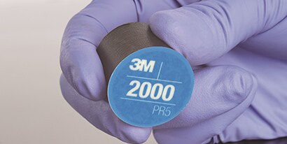 Paint Finish Denibbing
