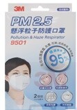 KN95 PM2.5 Pollution & Haze Respirator