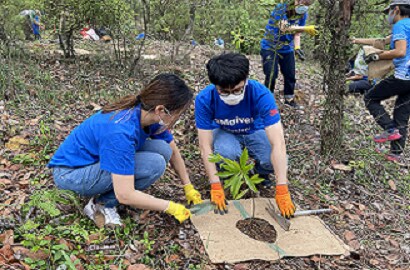 3M香港與綠惜地球攜手植樹