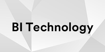 BI Technology
