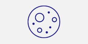 Cryptosporidium
